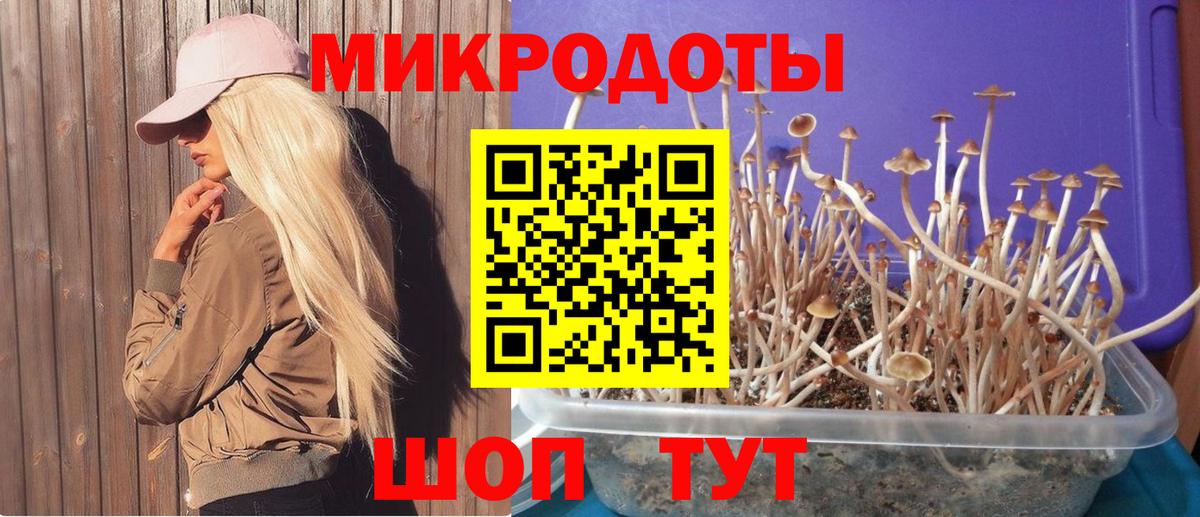 Галлюциногенные грибы ЛСД  Вход с VPN  Владикавказ 